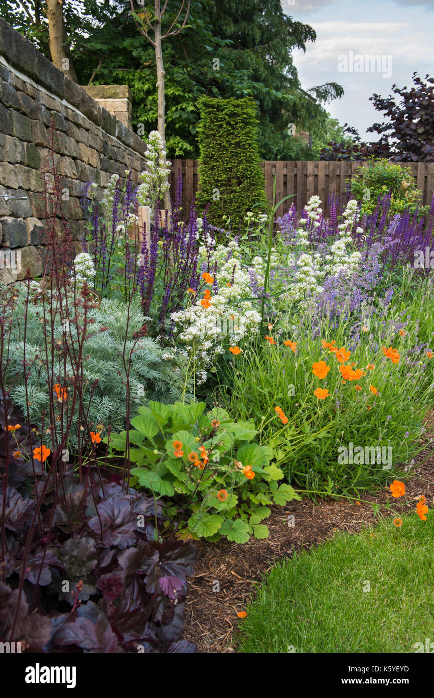 Schöne, private, traditionelle, Landschaftsgarten, Country Garden, West Yorkshire, England, UK-Sommer blühende Pflanzen in Nahaufnahme auf staudenbeet Stockfoto