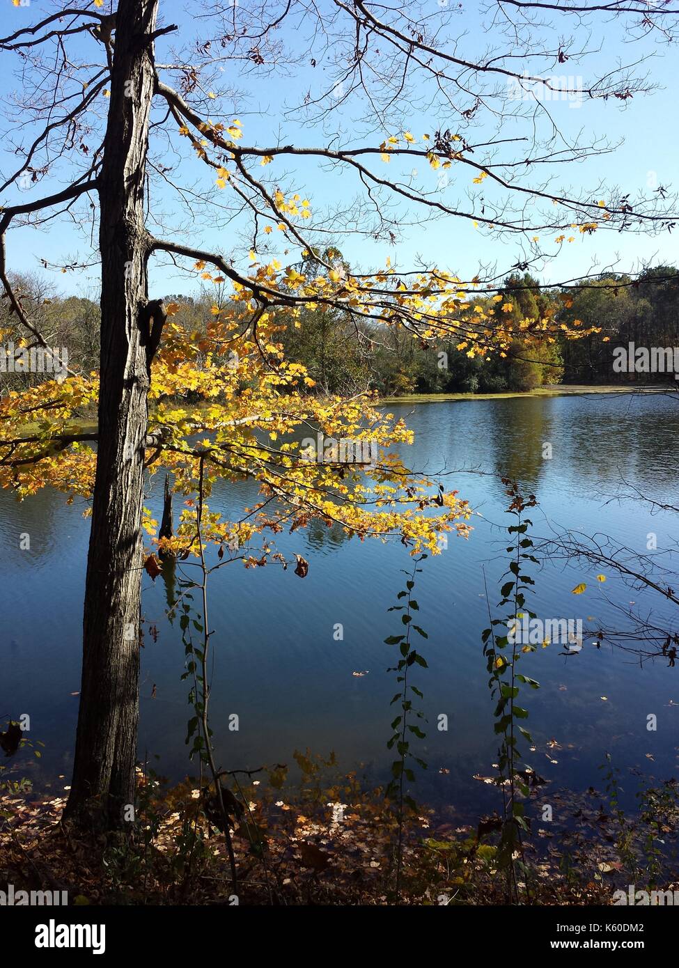 Anzeigen von Kincaid See im Herbst. Stockfoto