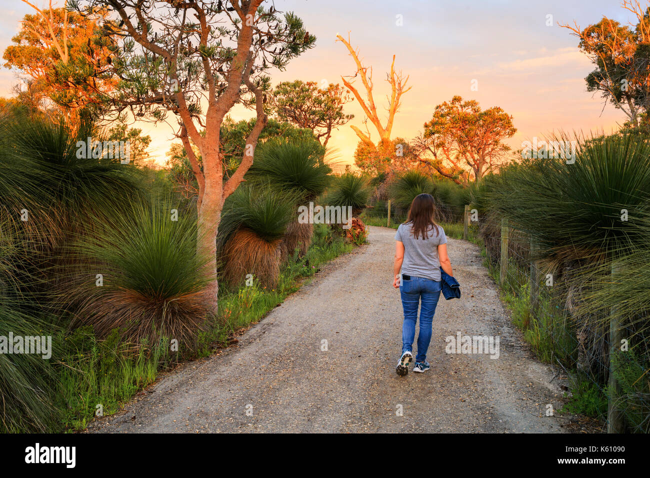 Frau hinunter, um einen Pfad durch Sterne Swamp Reserve suburban Buschland Stockfoto