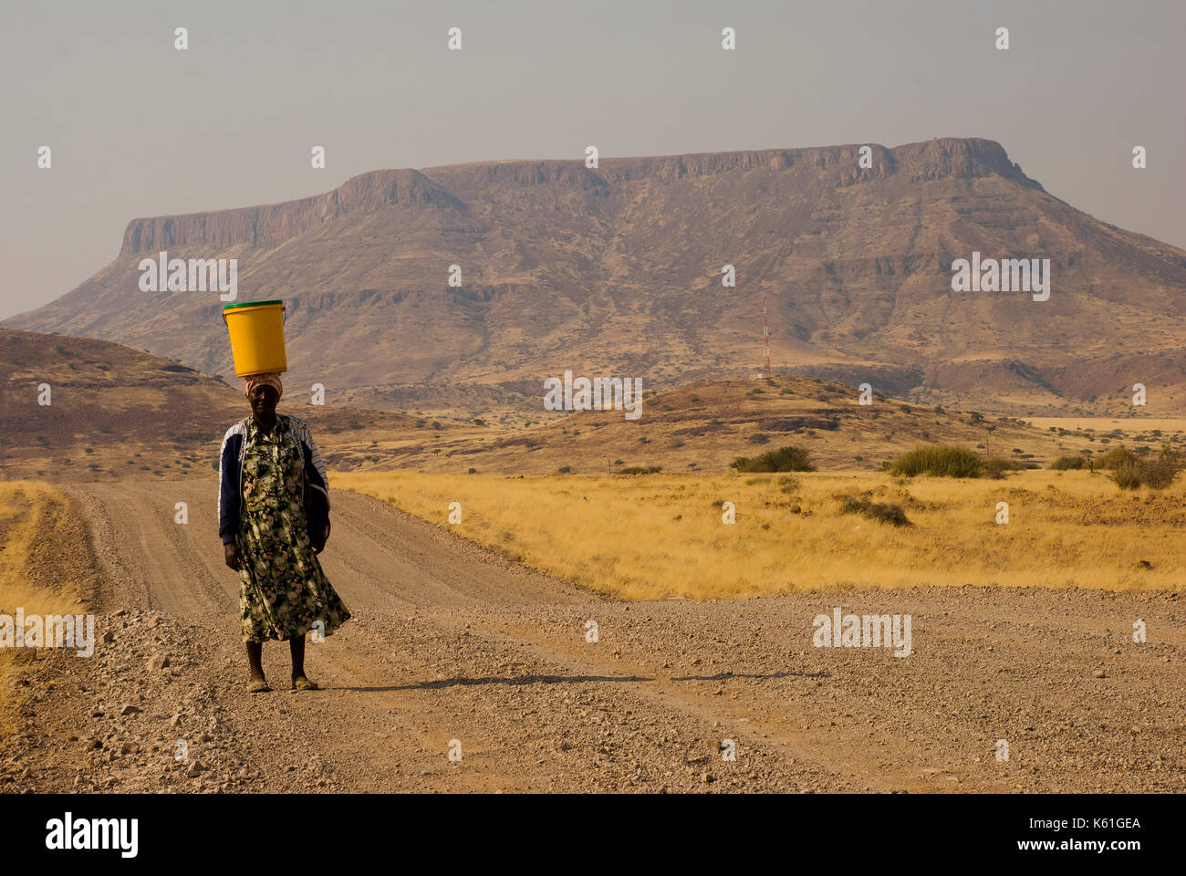Afrikanische Frau, die einen Eimer voller Wasser o seinen Kopf an der Fernbedienung und Land im Norden von Namibia in der Nähe von Palmwag Stockfoto