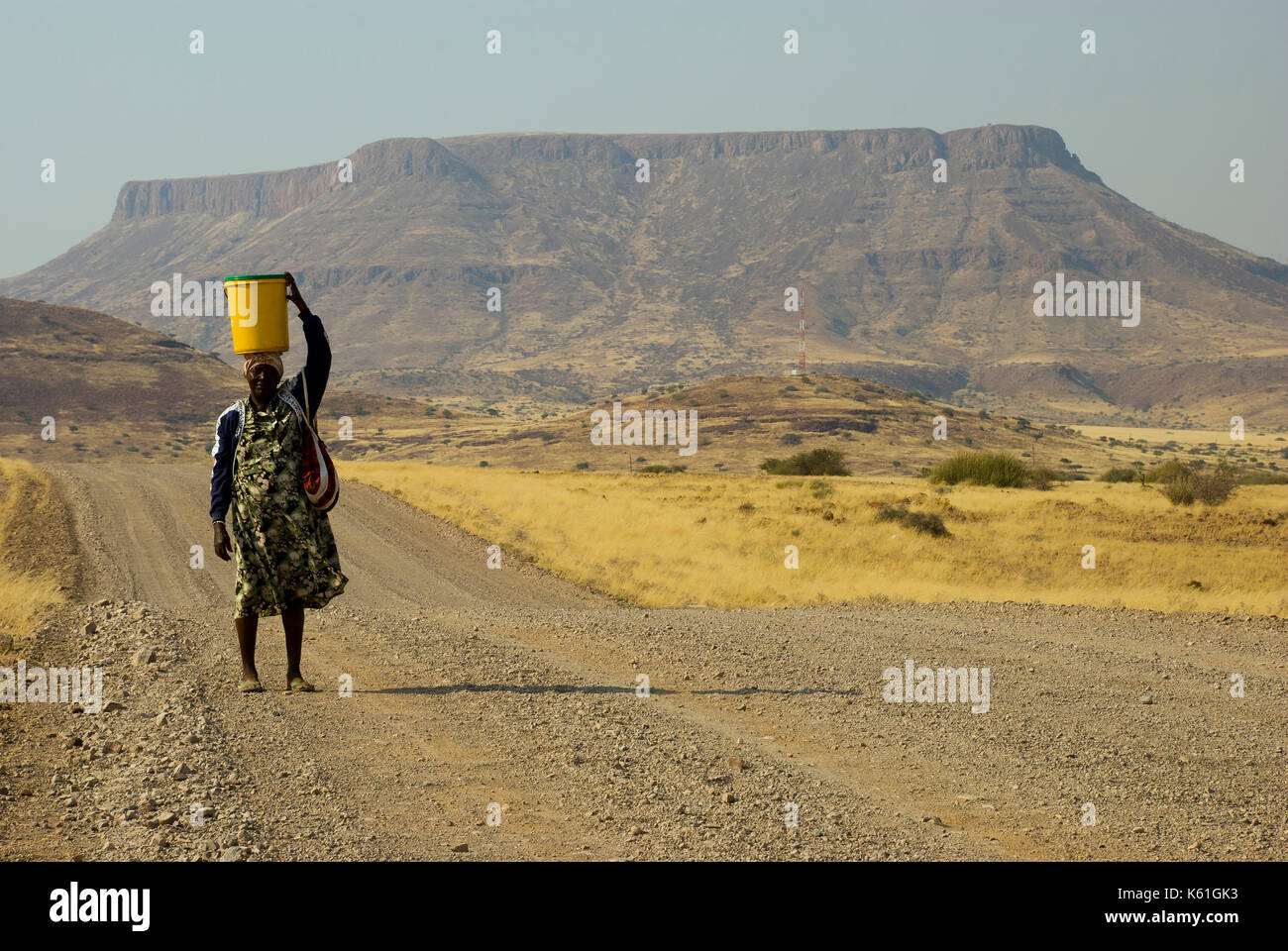 Afrikanische Frau, die einen Eimer voller Wasser o seinen Kopf an der Fernbedienung und Land im Norden von Namibia in der Nähe von Palmwag Stockfoto