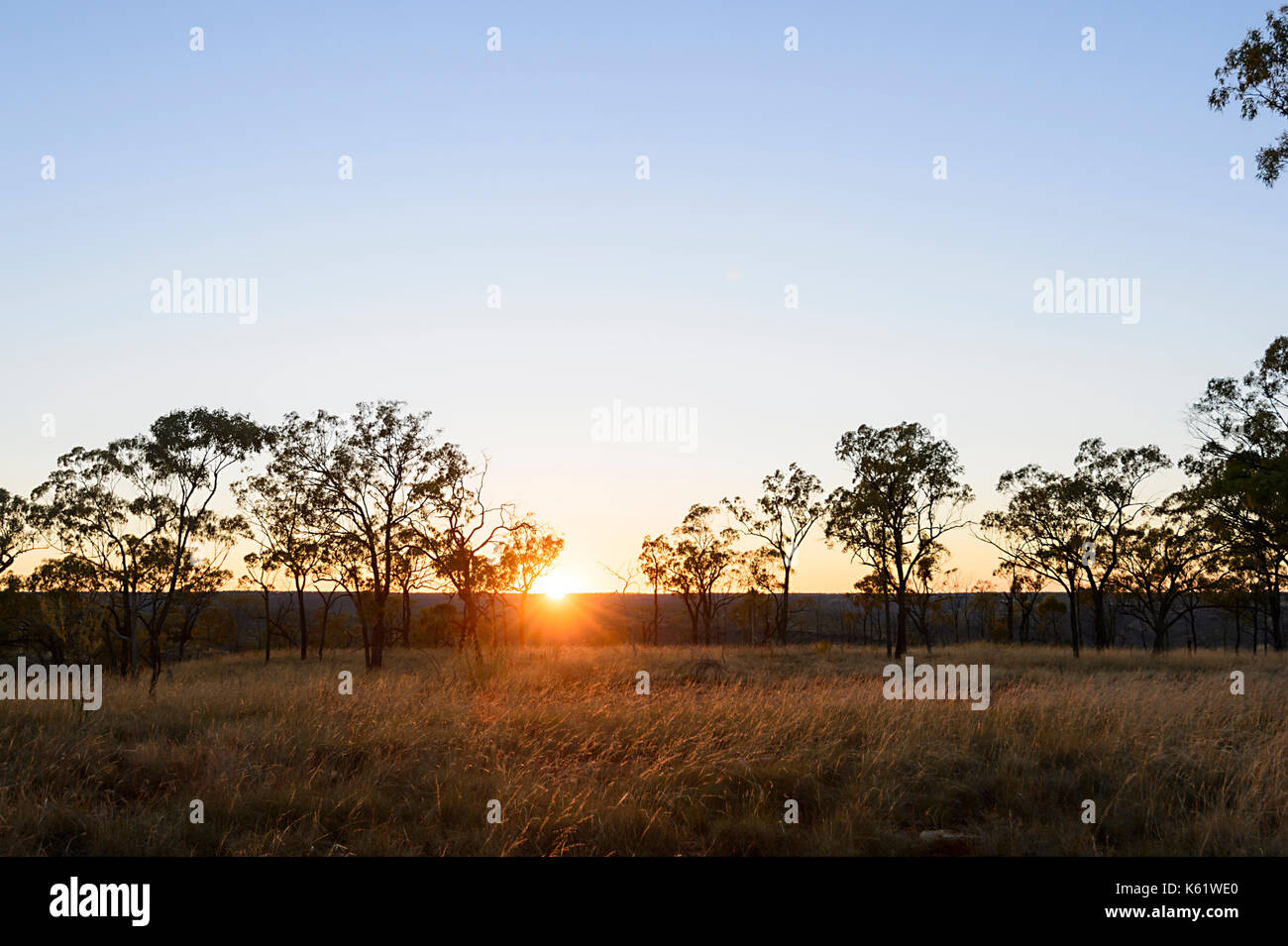 Atmosphärische Sonnenaufgang in der Savanne in der Nähe von Hughenden, Queensland, Queensland, Australien Stockfoto