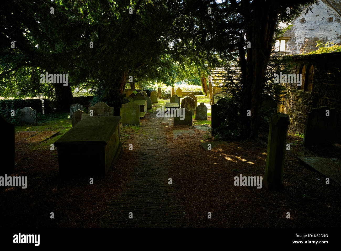 Unter Eiben in St. Maria in eine verlassene Kirche Pateley Bridge Stockfoto