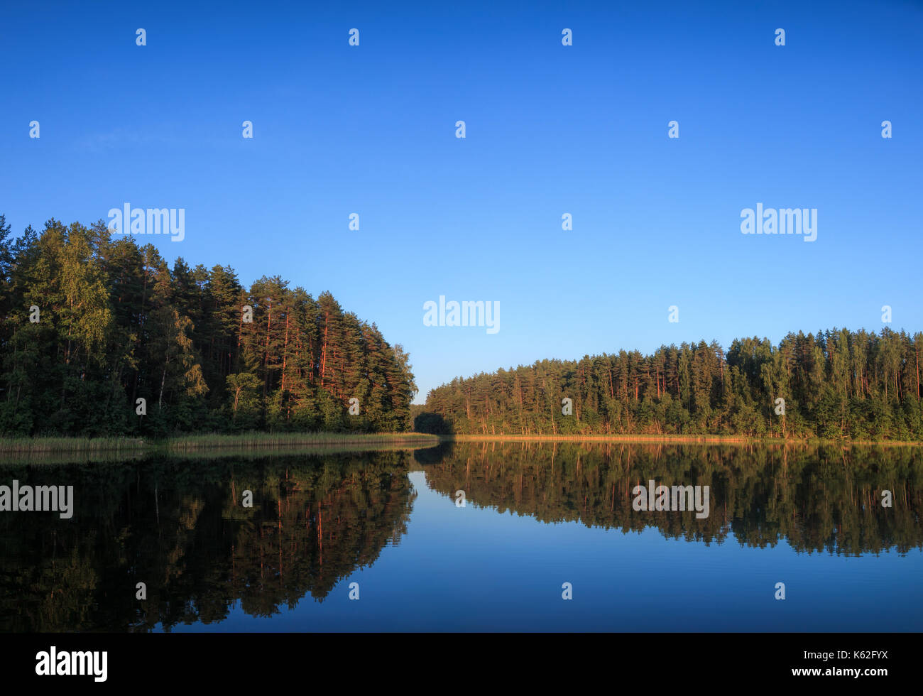 Sommer Landschaft mit ruhigen Wald See im Abendlicht Stockfoto