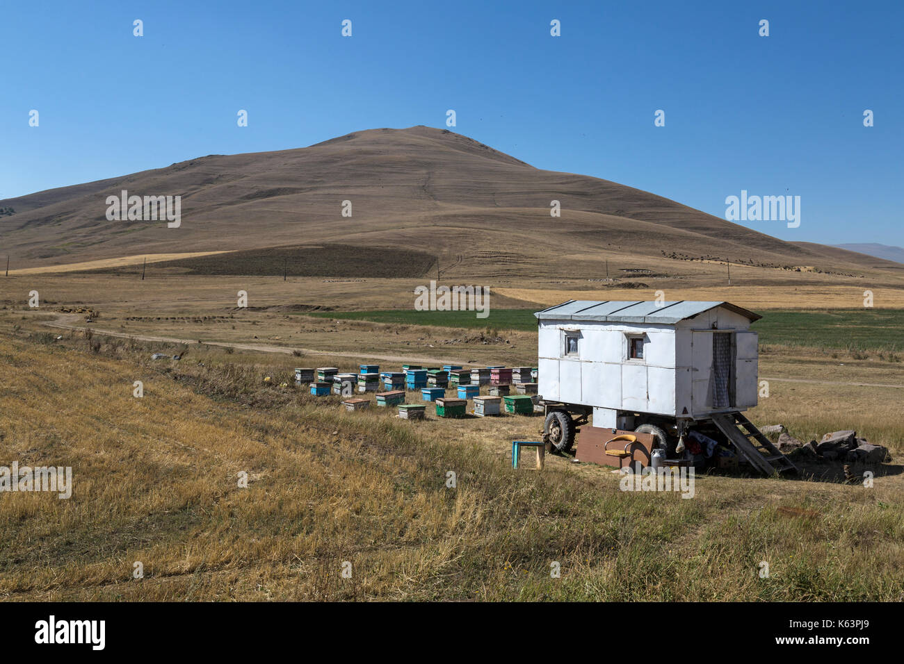 Kleine Mobile Haus Auf Radern Mit Bienenvolker Hinter Direkt An