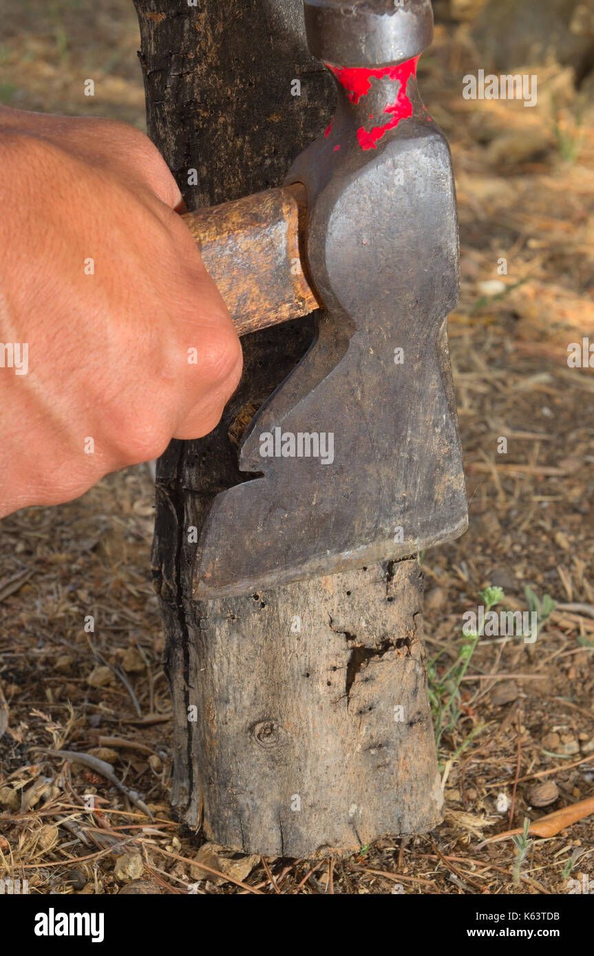 Schneiden von Holz mit einer Axt Stockfoto