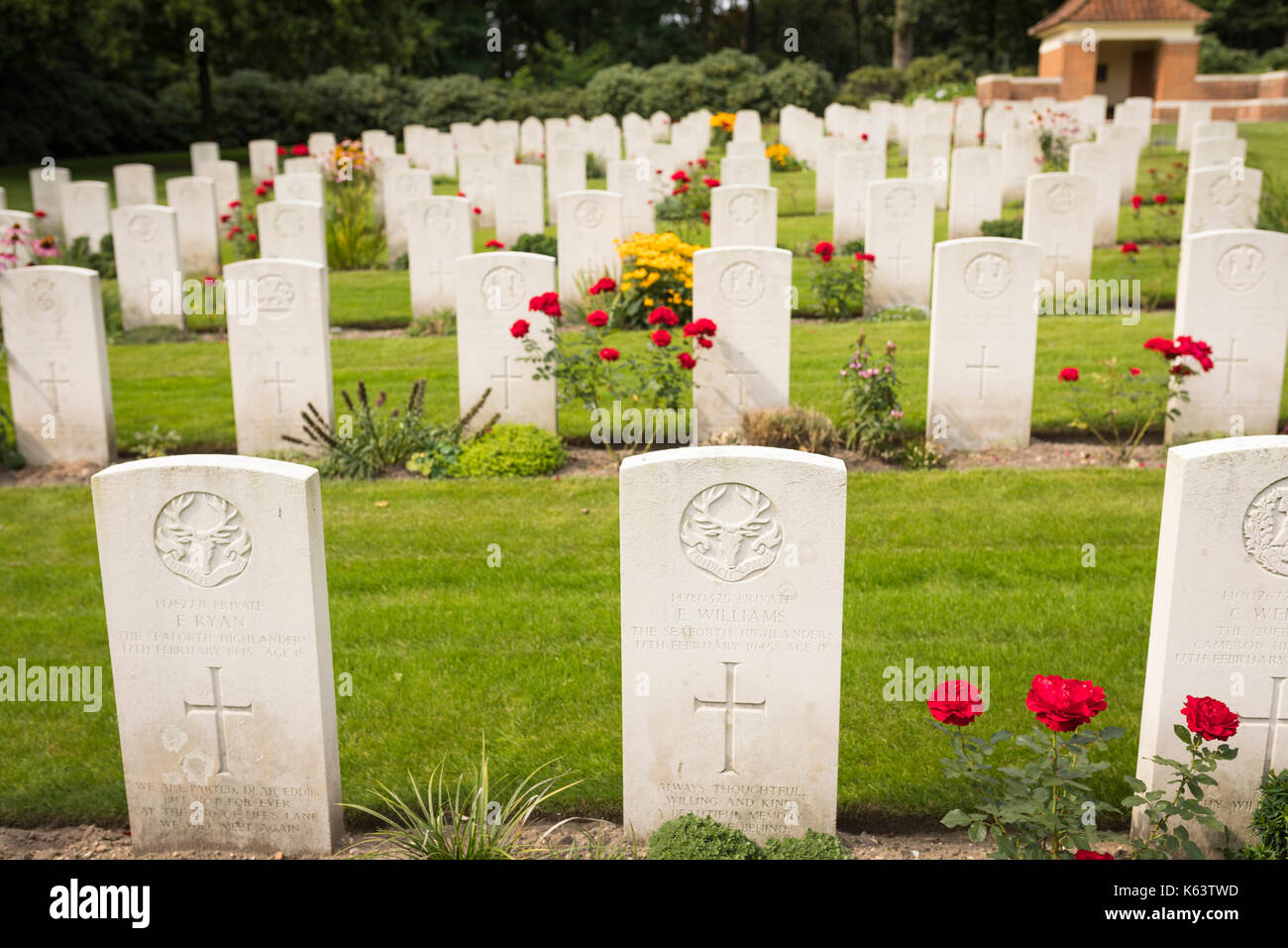 Grabsteine mit roten Rosen und andere Blumen bei British Commonwealth War Cemetery bei Mook in den Niederlanden Stockfoto