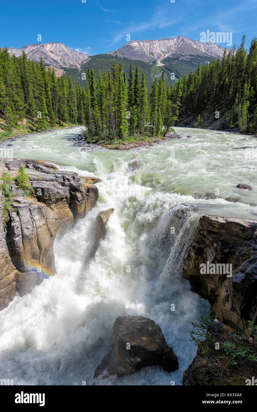 Sunwapta Falls im Jasper National Park, Alberta, Kanada. Stockfoto