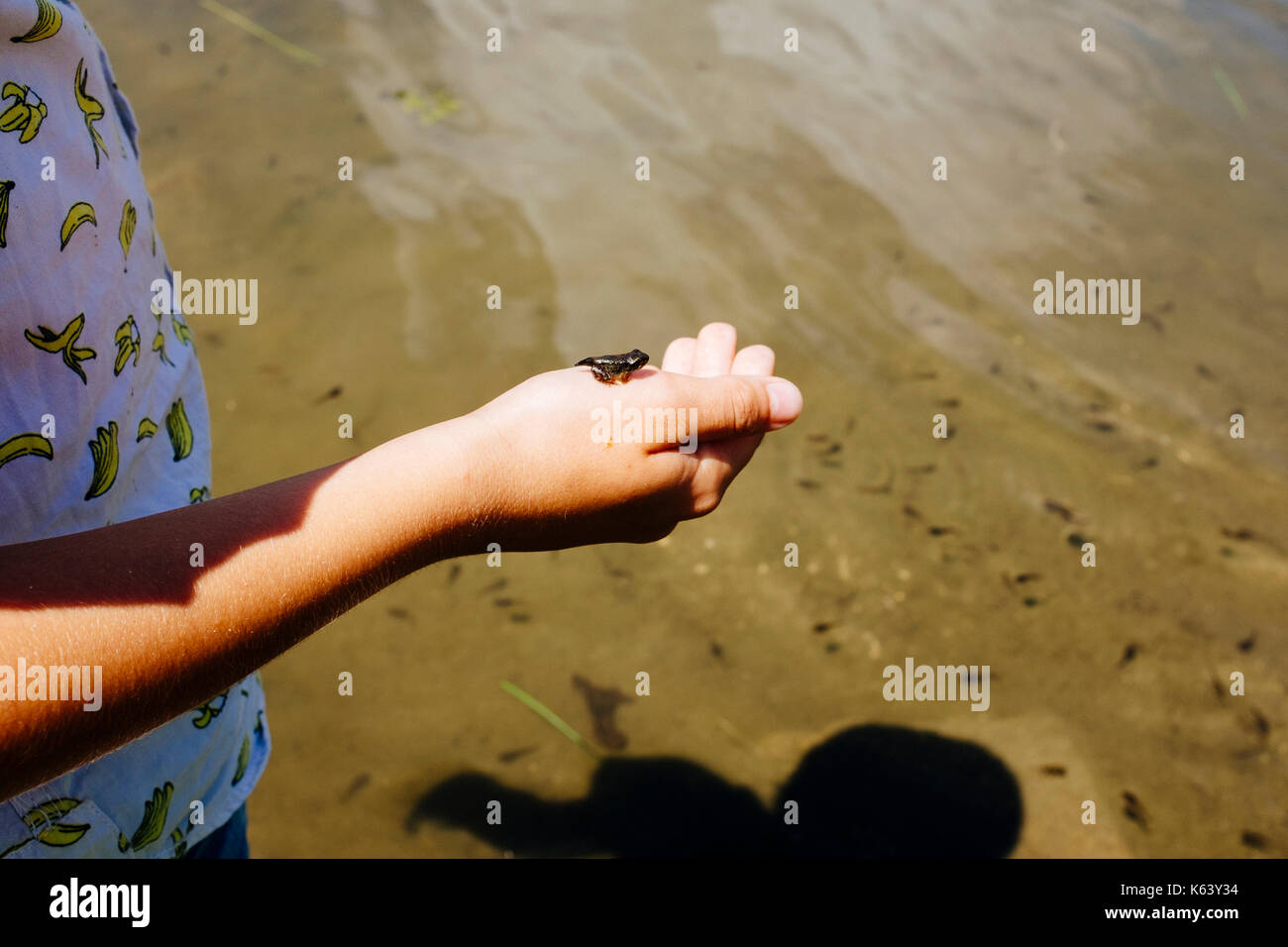 Baby hält einen kleinen Berg Frosch in seiner Hand. Stockfoto
