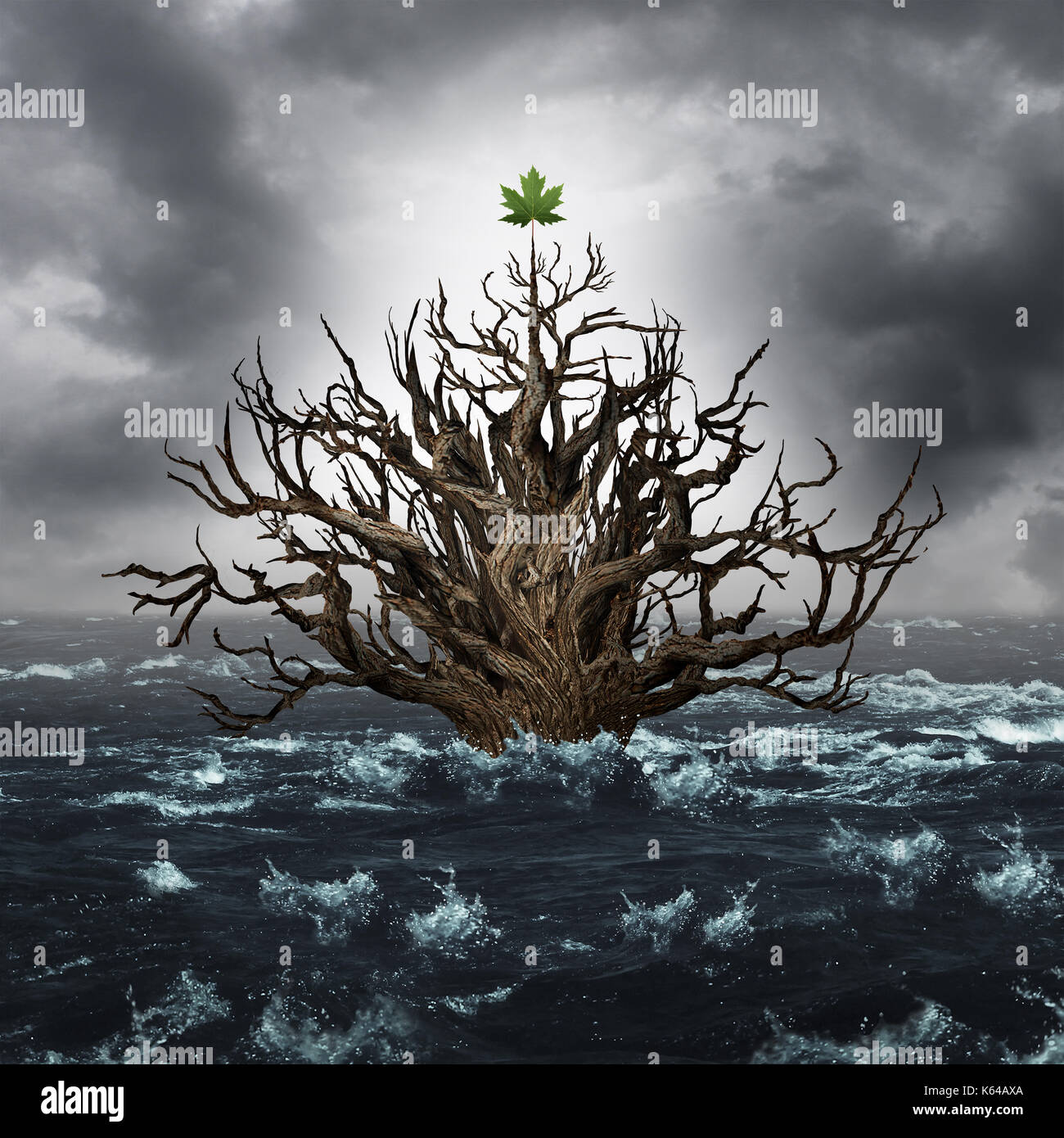 Konzept des Überlebens und der Ausdauer als ertrinken Baum mit einem Blatt über Wasser als Metapher für Persistenz, um zu überleben. Stockfoto