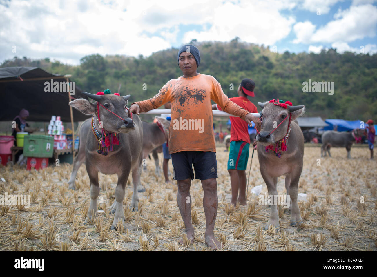 Barat Jereweh, Sumbawa, Indonesien - 10. September 2017: Lokale Buffalo race Wettbewerb auf Sumbawa in Jereweh, Indonesien am 10. September 2017 statt. Stockfoto