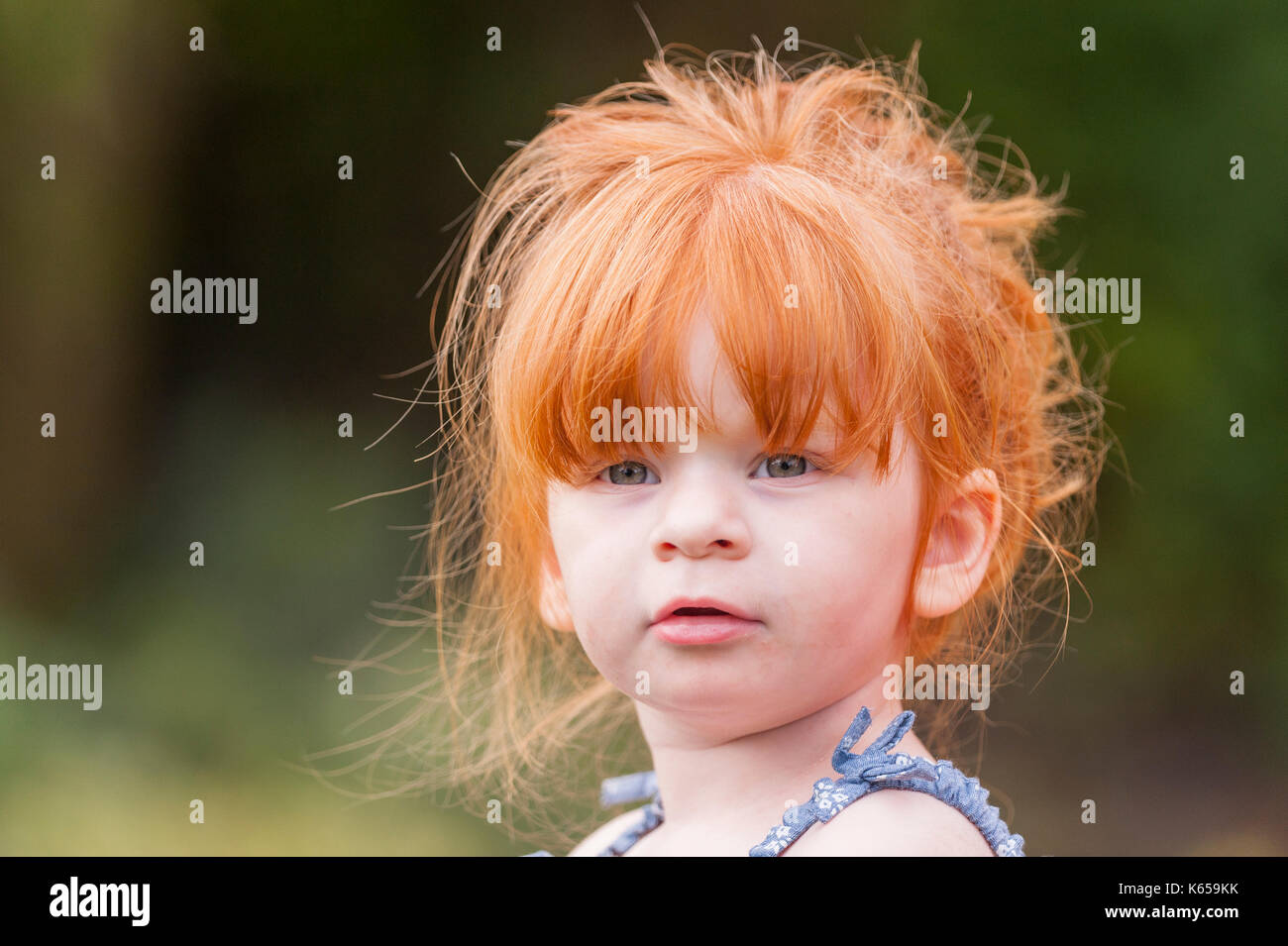 Ein MODEL RELEASED 2 Jahre altes Mädchen mit Ingwer Haar im Freien in Großbritannien Stockfoto