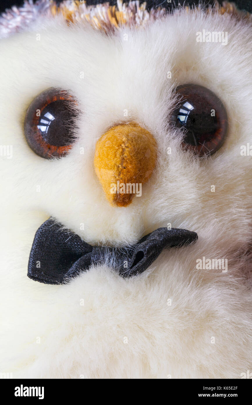 Nahaufnahme von Owl weiches Kuscheltier Eule Stockfoto