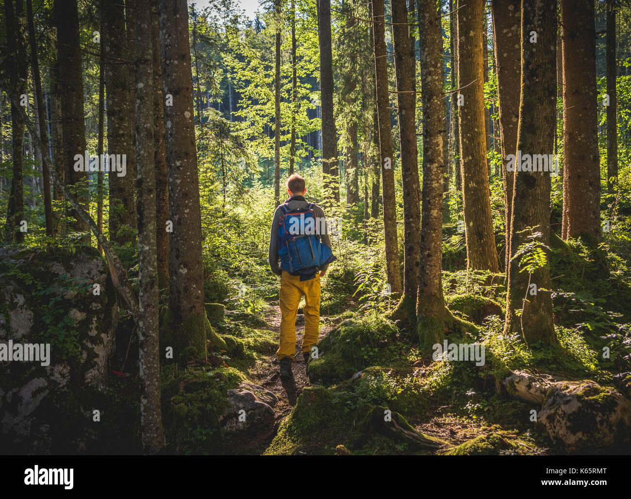 Junger Mann in den Zauberwald, Ramsau, Nationalpark Berchtesgaden, Berchtesgadener Land, Oberbayern, Deutschland Stockfoto