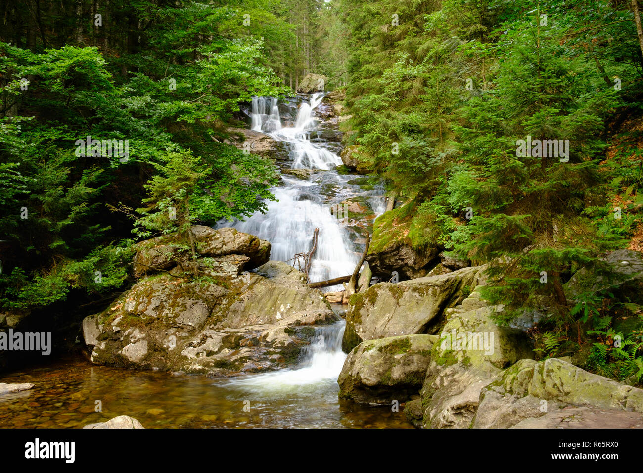 Rissloch Wasserfälle, Riesloch Fälle, Rissloch Schlucht, Bodenmais, Bayerischer Wald, Niederbayern, Bayern, Deutschland Stockfoto