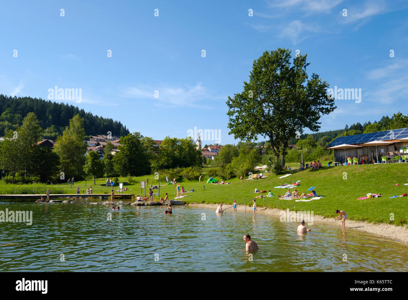 Natürlichen Swimmingpool im Kurpark, Sankt Englmar, Bayerischer Wald, Niederbayern, Bayern, Deutschland Stockfoto