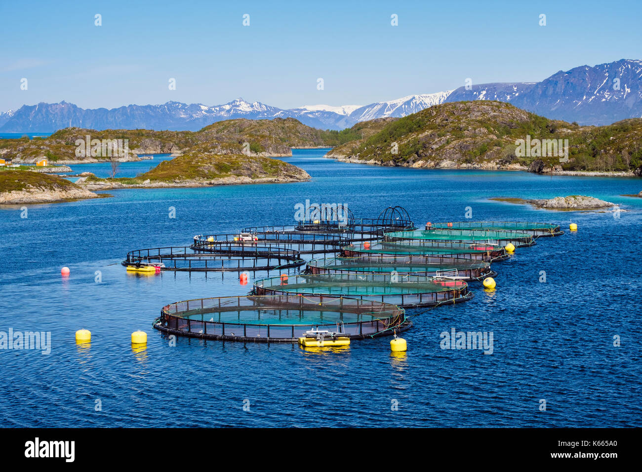 Fischzucht Landwirtschaft Lachs in norwegischen Fjord an der malerischen Nordküste Meer. Troms, Norwegen, Skandinavien, Europa Stockfoto