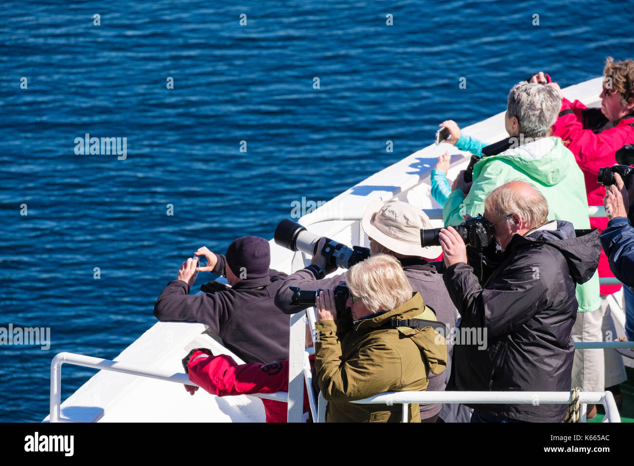G Abenteuer Kreuzfahrtschiff Passagiere am Meer fotografieren von Tierwelt und Landschaft im Naturschutzgebiet Sundsvollsundet Helløya Troms Norwegen Skandinavien Stockfoto