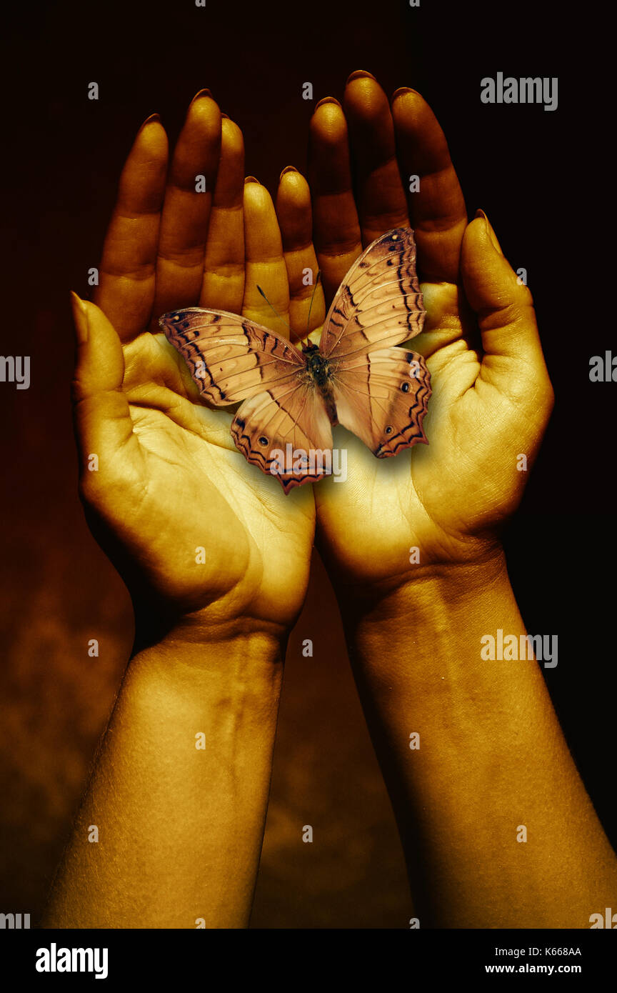 Hände halten ein Schmetterling, Veränderung, Transformation Phantasie Konzept Stockfoto