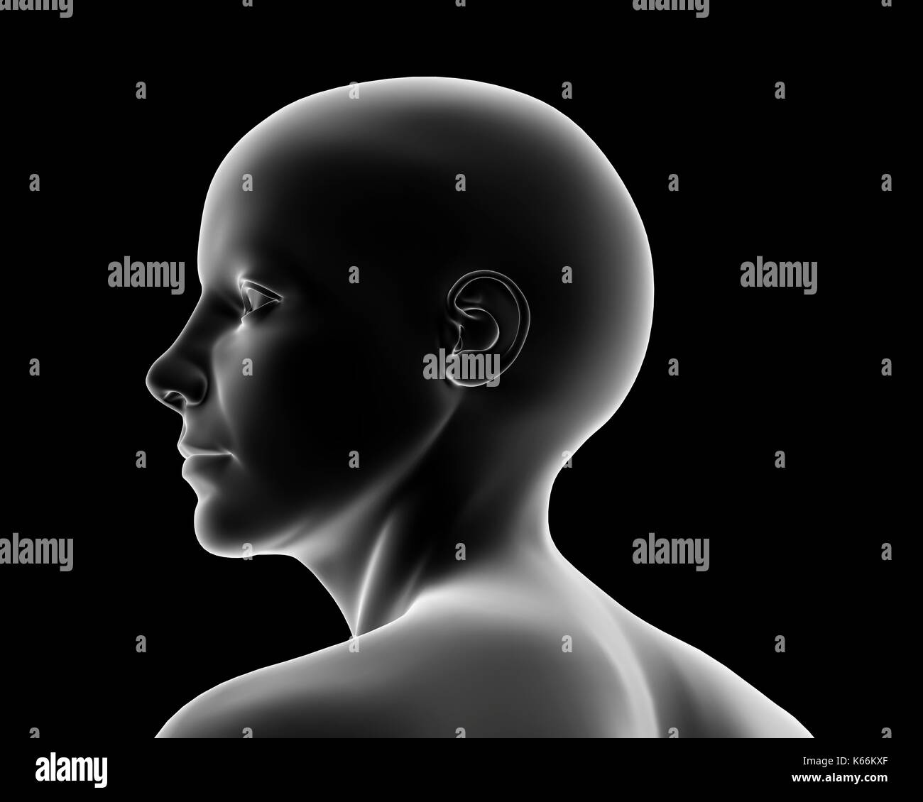 Computer artwork eines weiblichen Kopf. Stockfoto