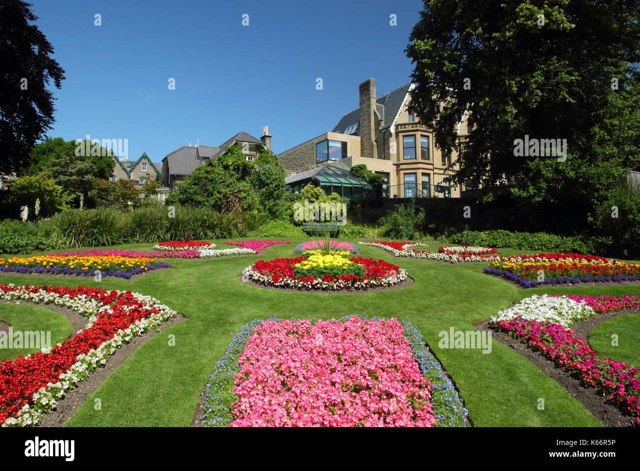 Viktorianische anlage Betten mit ringelblumen und Begonien in der Viktorianischen Garten an der Sheffield Botanischen Gärten, Sheffield, Yorkshire, England, Großbritannien - Sommer Stockfoto