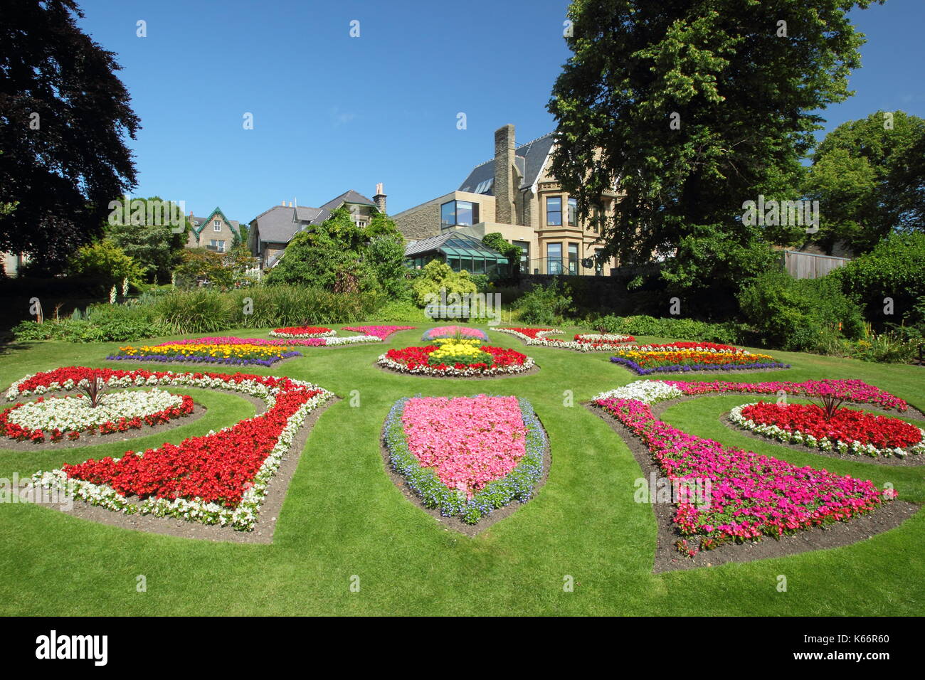 Viktorianische anlage Betten mit ringelblumen und Begonien in der Viktorianischen Garten an der Sheffield Botanischen Gärten, Sheffield, Yorkshire, England, Großbritannien - Sommer Stockfoto