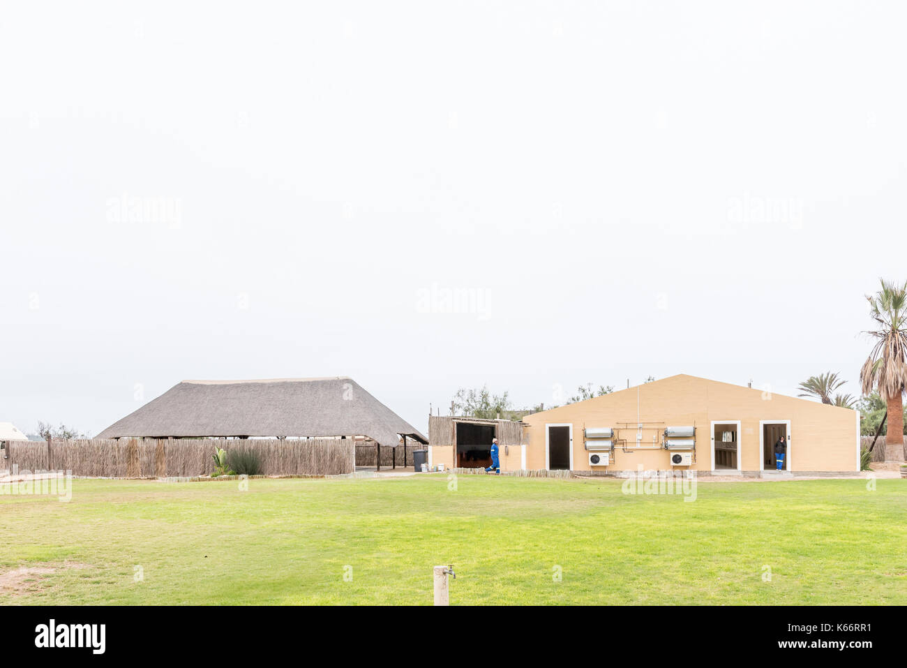 SWAKOPMUND, NAMIBIA - 29. JUNI 2017: eine Lapa und die Wohnwagen-park am Tiger Reef Rest Camp in Swakopmund in der Namib Wüste auf dem Atlantik Coas Stockfoto