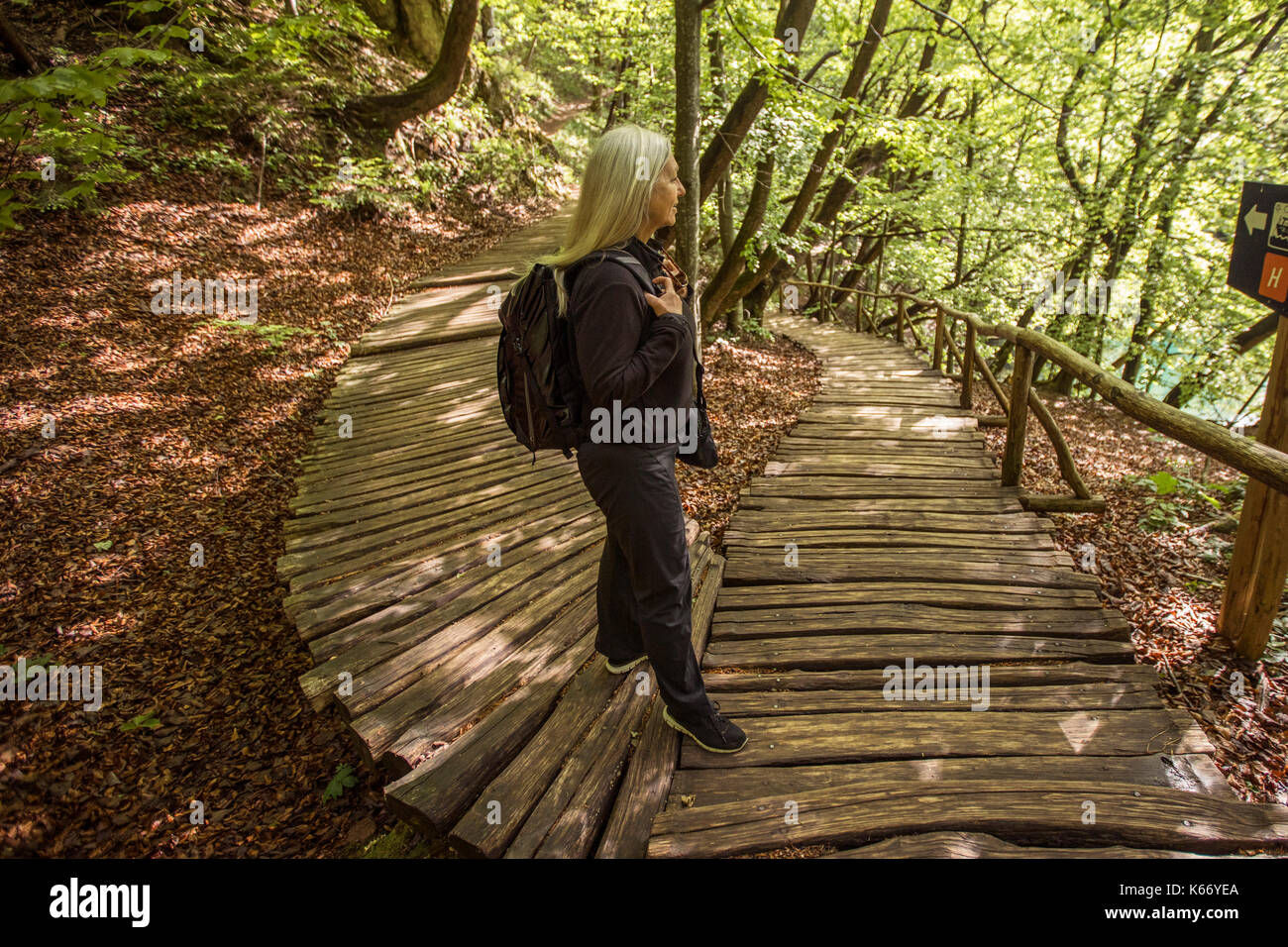 Ältere kaukasische Frau liest Zeichen auf Holz- Bahn im Wald Stockfoto