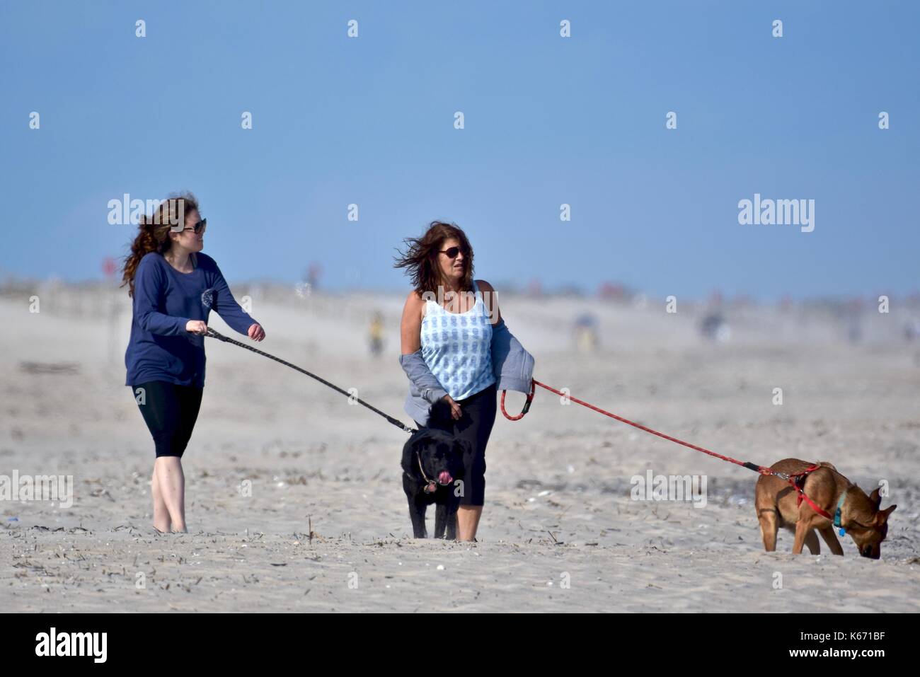 Zwei Frauen gehen Hunde, Strand Stockfoto