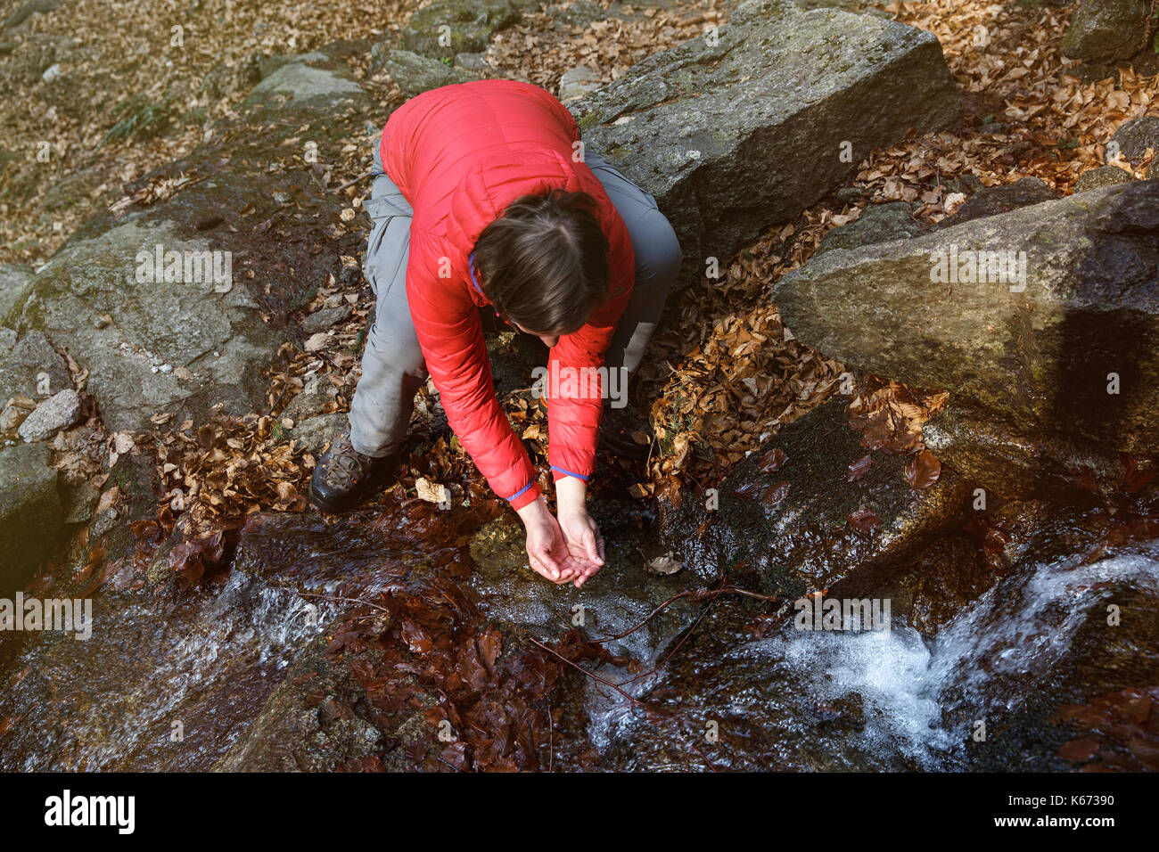 Durstigen Wanderer Trinkwasser aus einer kristallklaren Bach in den Bergen. Abenteuer, Grundrecht auf Wasser, zurück zur Natur und natürliche Lebensweise Stockfoto