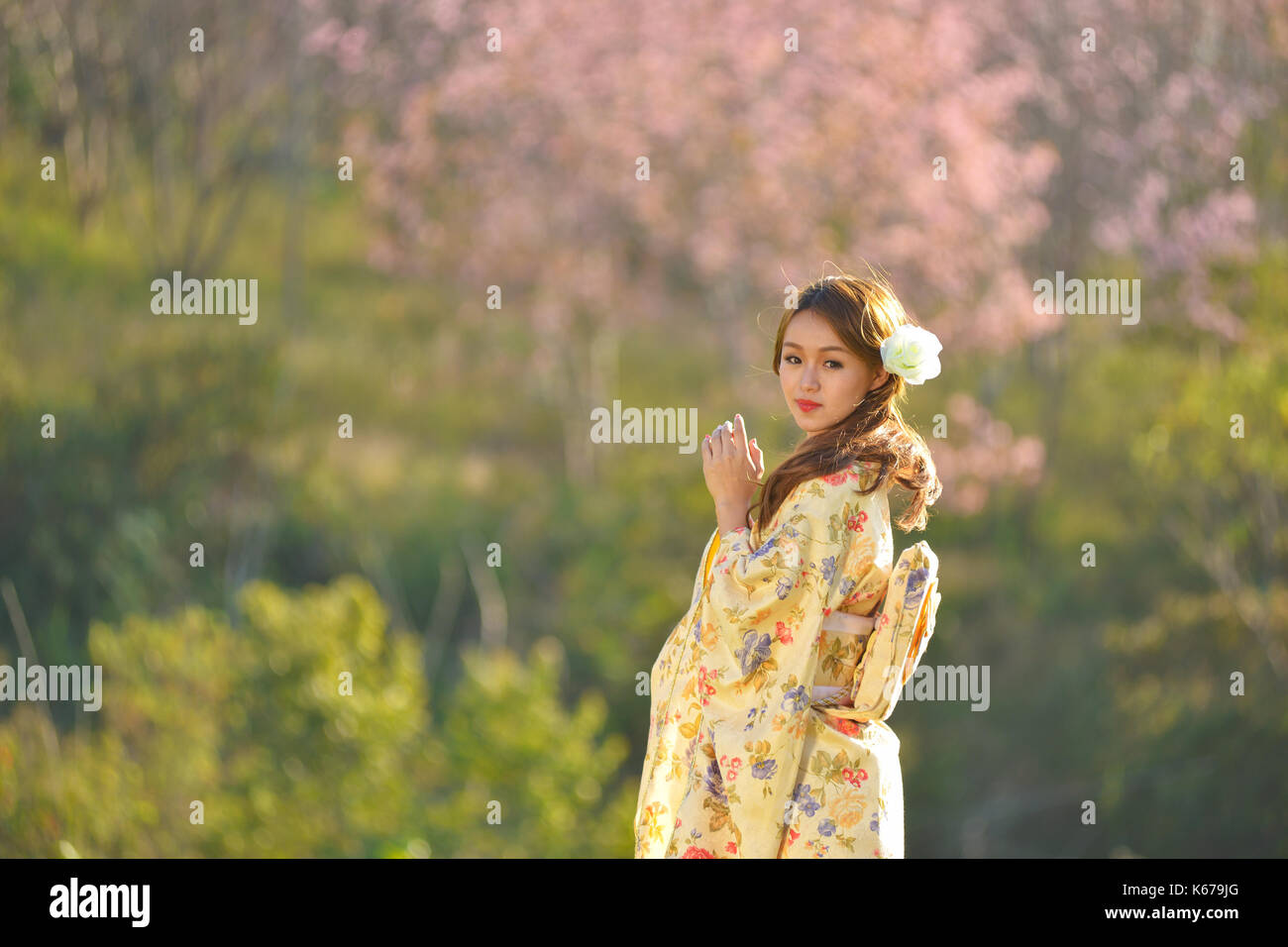 Frau in der traditionellen japanischen Kleidung in einer Cherry Orchard, Japan Stockfoto
