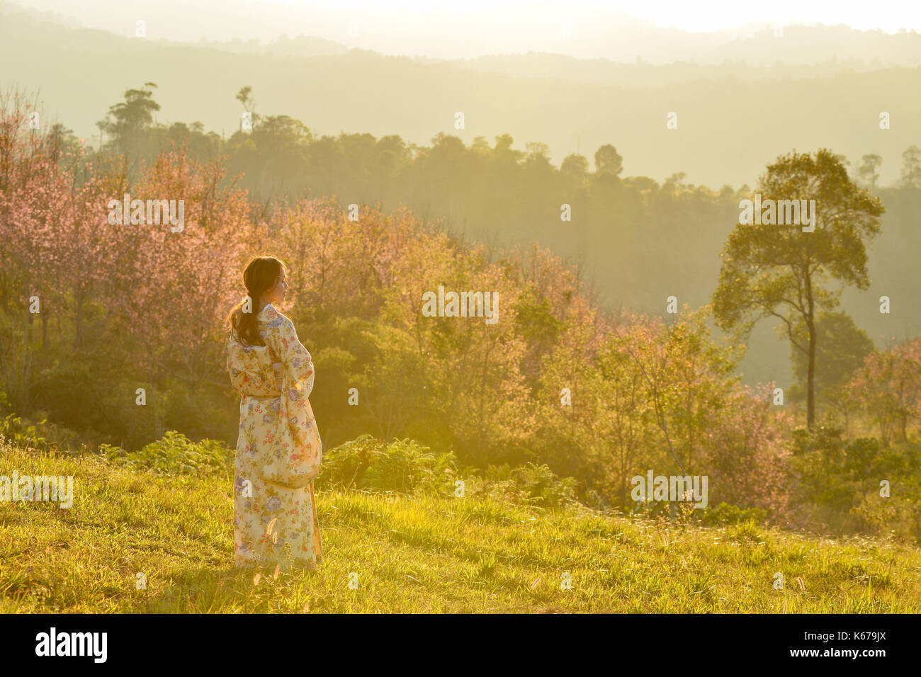 Ansicht der Rückseite eine Frau in der traditionellen japanischen Kleidung in einem Cherry Orchard, Japan Stockfoto