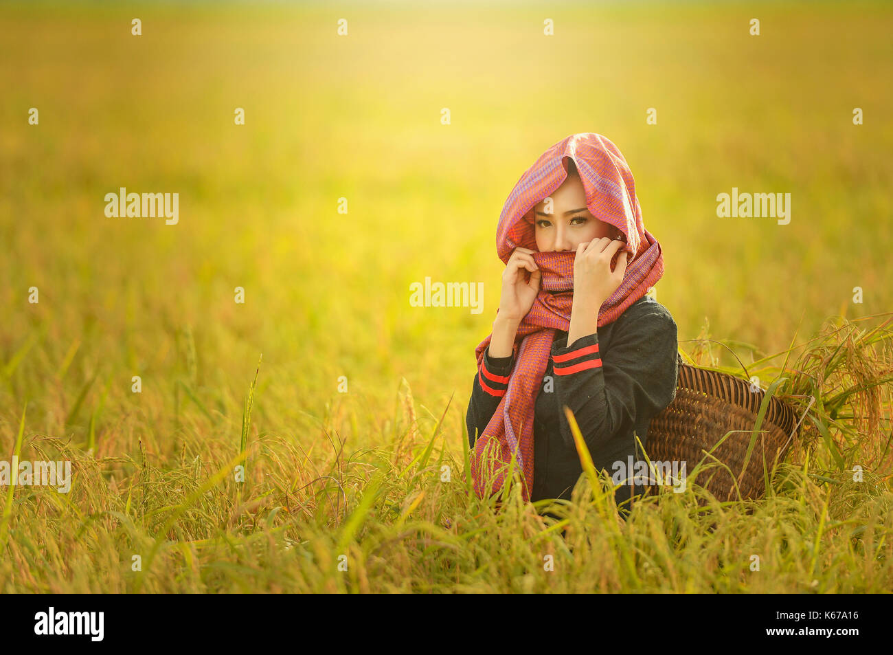 Porträt einer Frau, die in einem Feld, Thailand Stockfoto