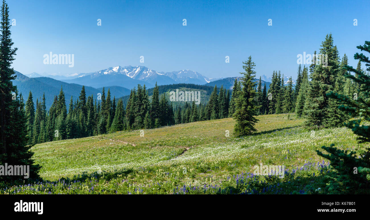 Berglandschaft, Manning Park, British Columbia, Kanada Stockfoto