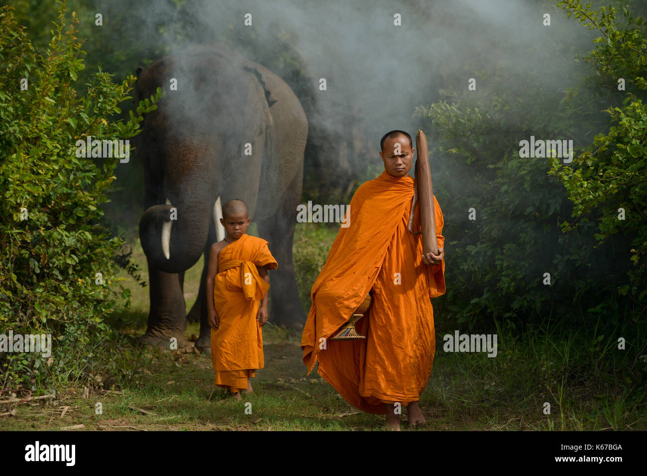 Mönch und Anfänger Mönch mit einem Elefanten, Surin, Thailand Stockfoto