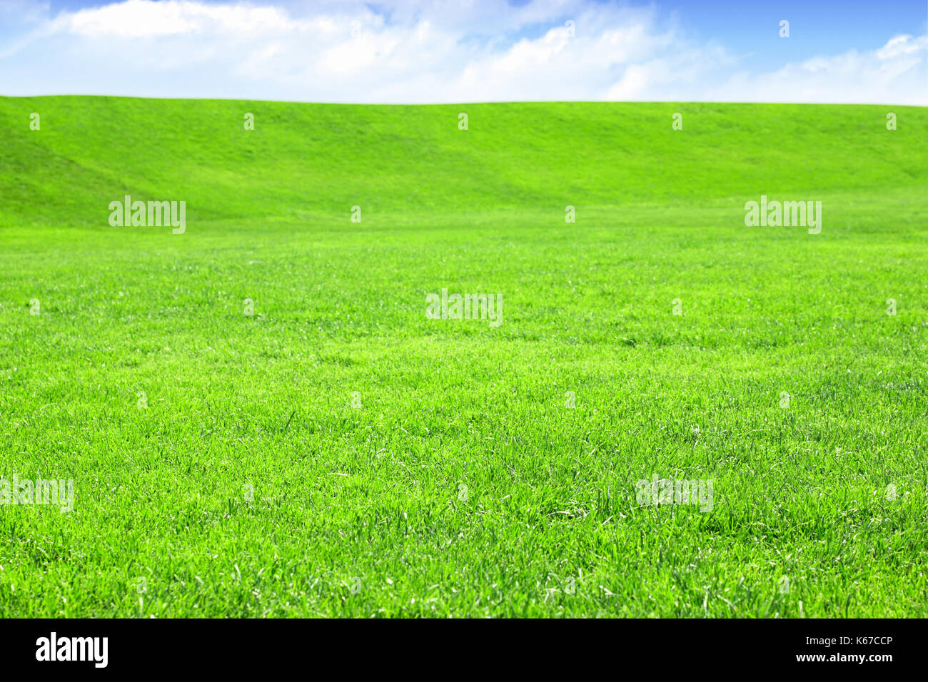 Leere Rasenfläche mit Sky Stockfoto