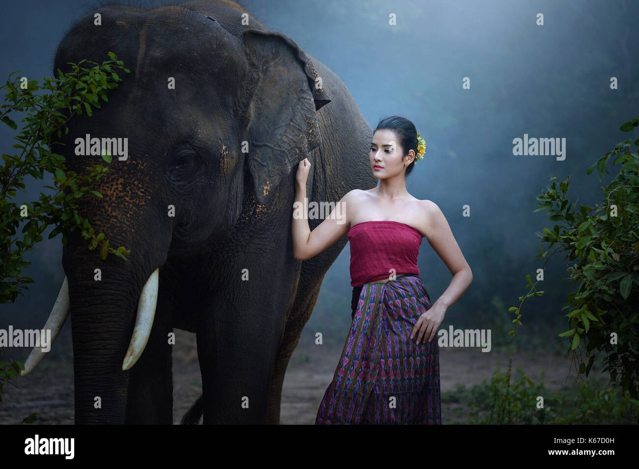 Frau, die mit Elefanten, Thailand Stockfoto