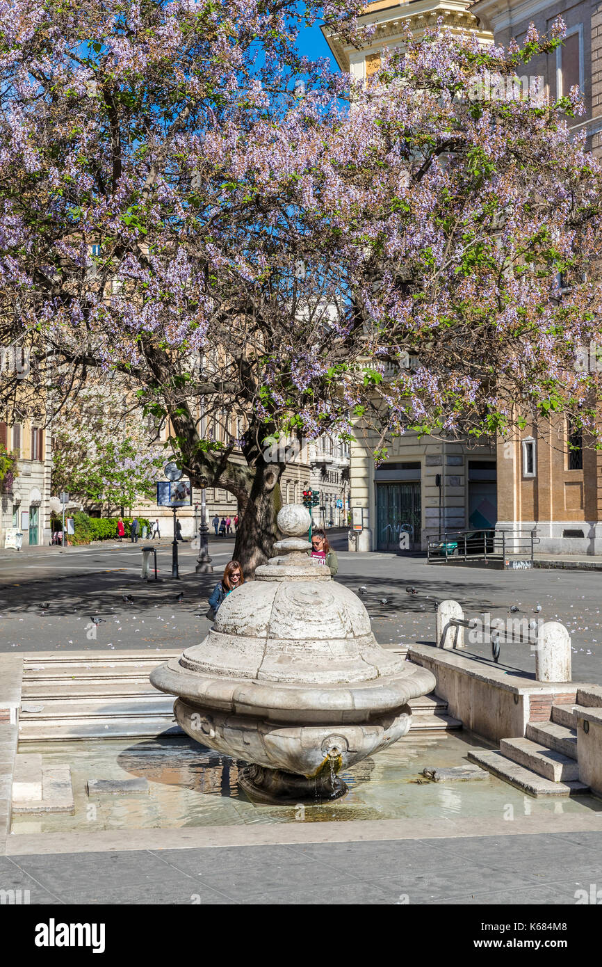 Fontana della Terrina an der Piazza della Chiesa Nuova, Rom, Latium, Italien, Europa. Stockfoto