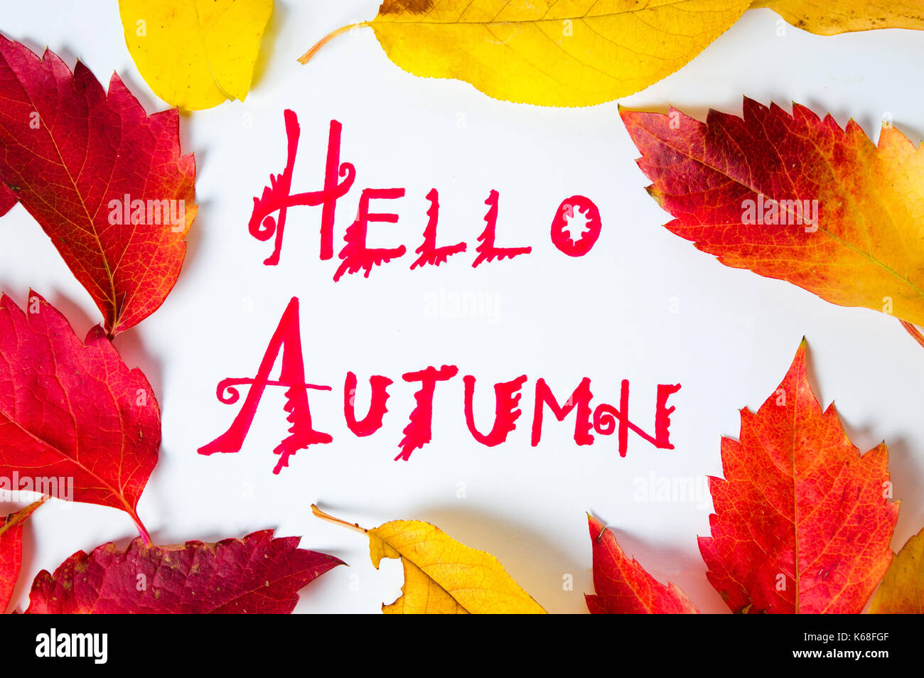Hallo Herbst Kalligraphie Hinweis mit Laub auf weißem Papier Stockfoto