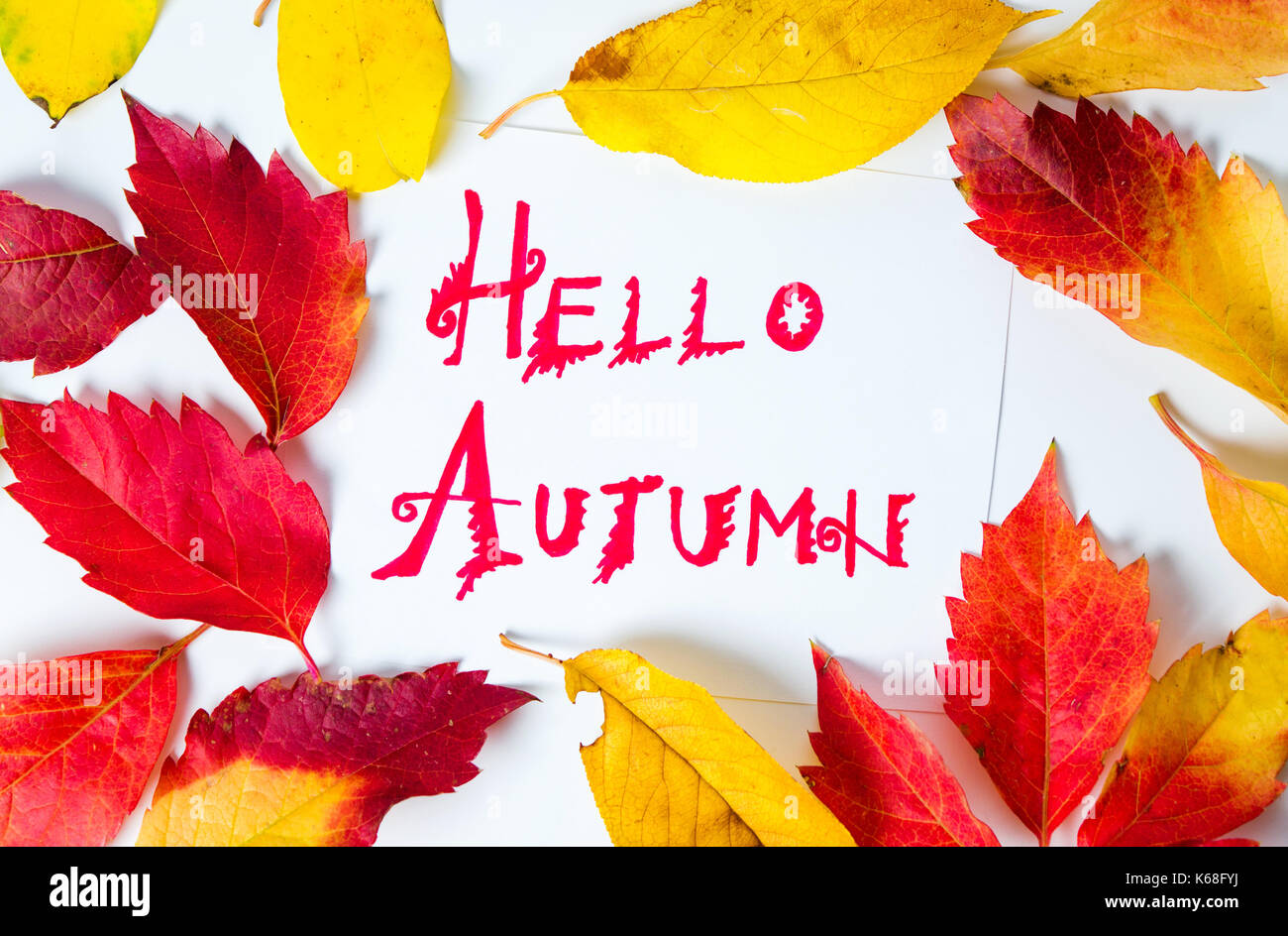 Hallo Herbst Kalligraphie Hinweis mit Laub auf weißem Papier Stockfoto