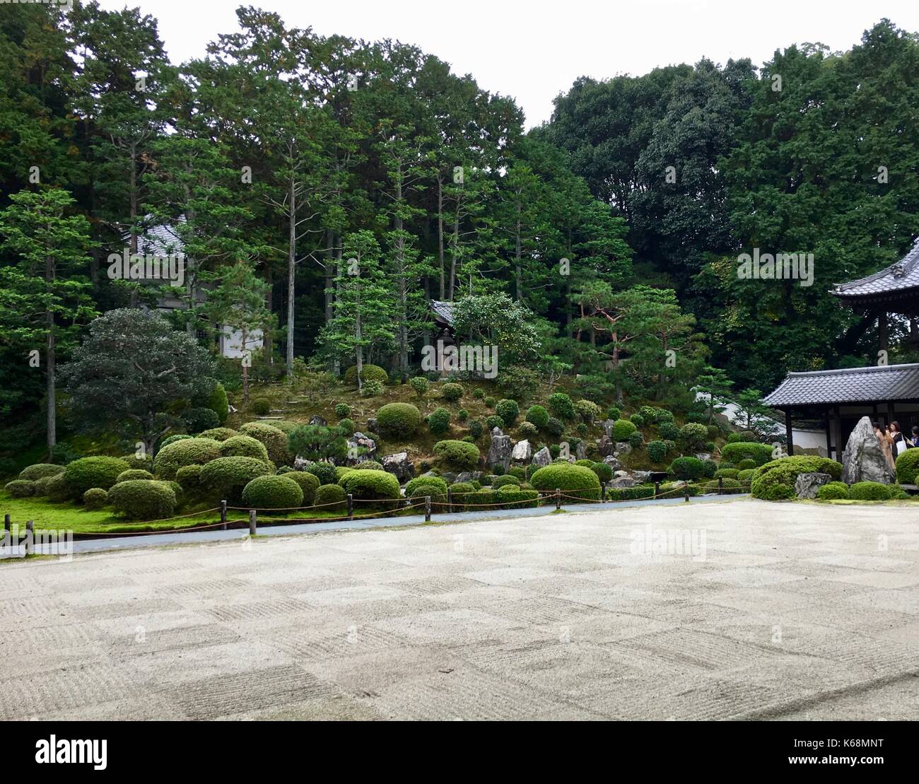 Tofuku ji im Herbst Farben in Kyoto. Stockfoto