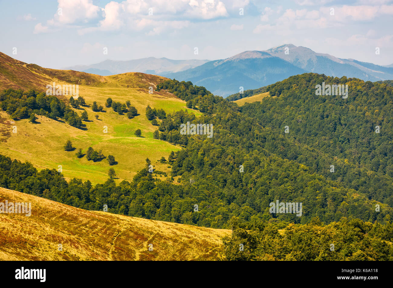 Grasbewachsene Hügel mit Wald- und High Peak in einem Abstand. schöne Natur Landschaft im frühen Herbst Wetter Stockfoto