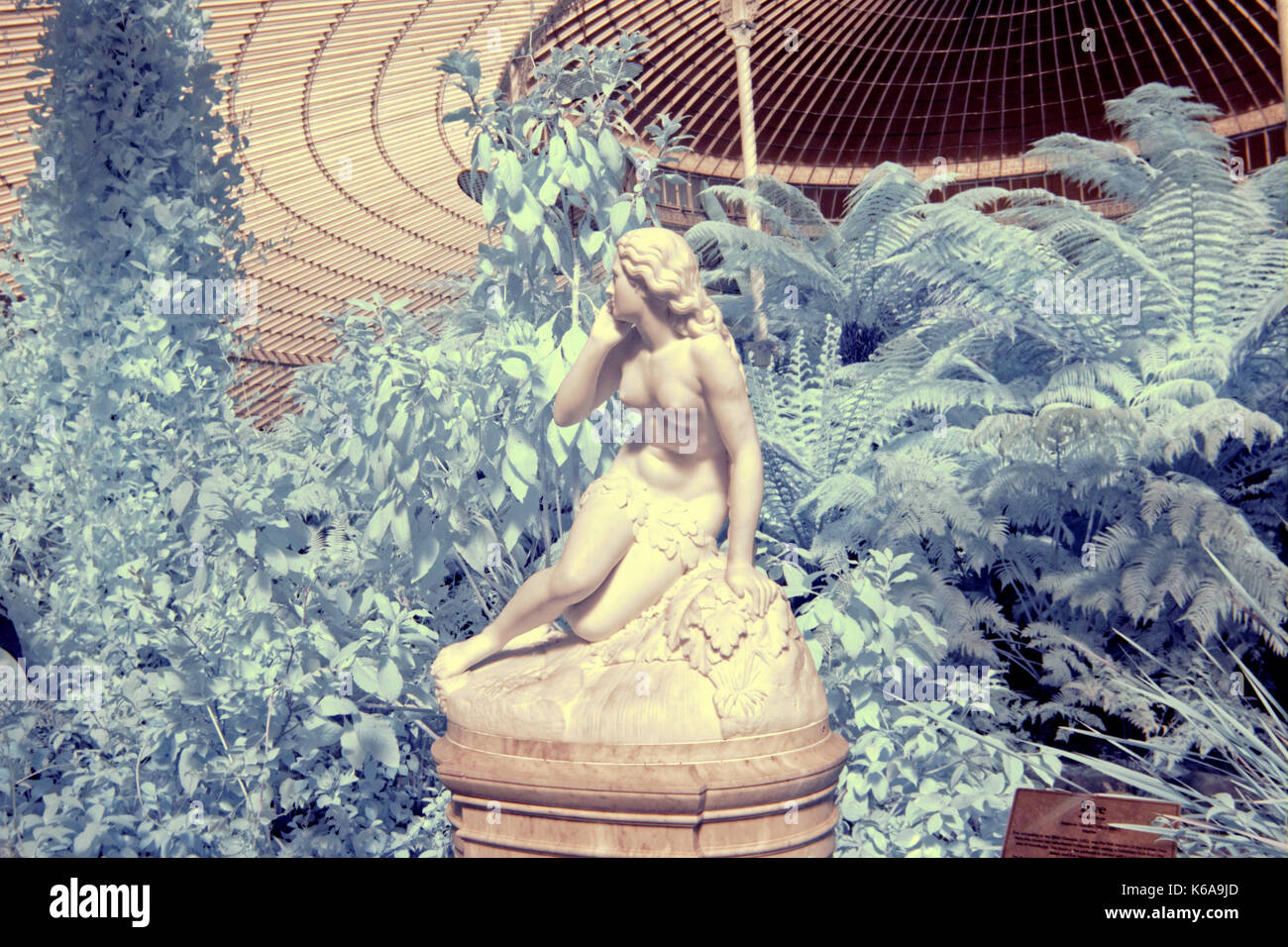 Statue von Eva, botanischen Gärten Infrarot Kamera die Versuchung Evas Kibble Palace glasgow Eve von scipione tadolini (c.1870) Stockfoto