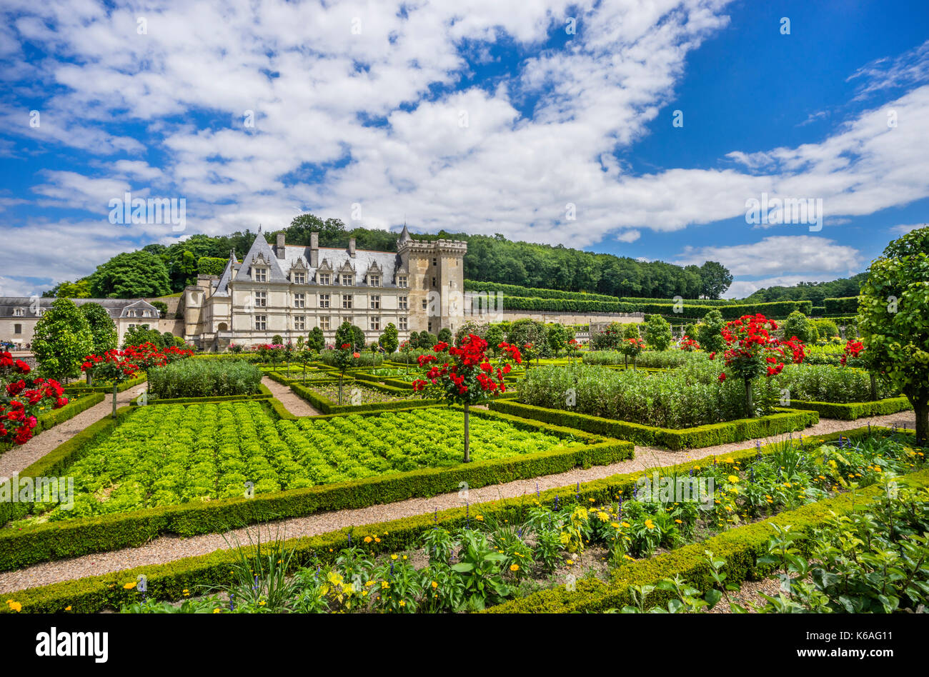 Frankreich, Indre-et-Loire, Château de Villandry, Zierpflanzen Gemüse in der Küche Garten wachsenden Stockfoto