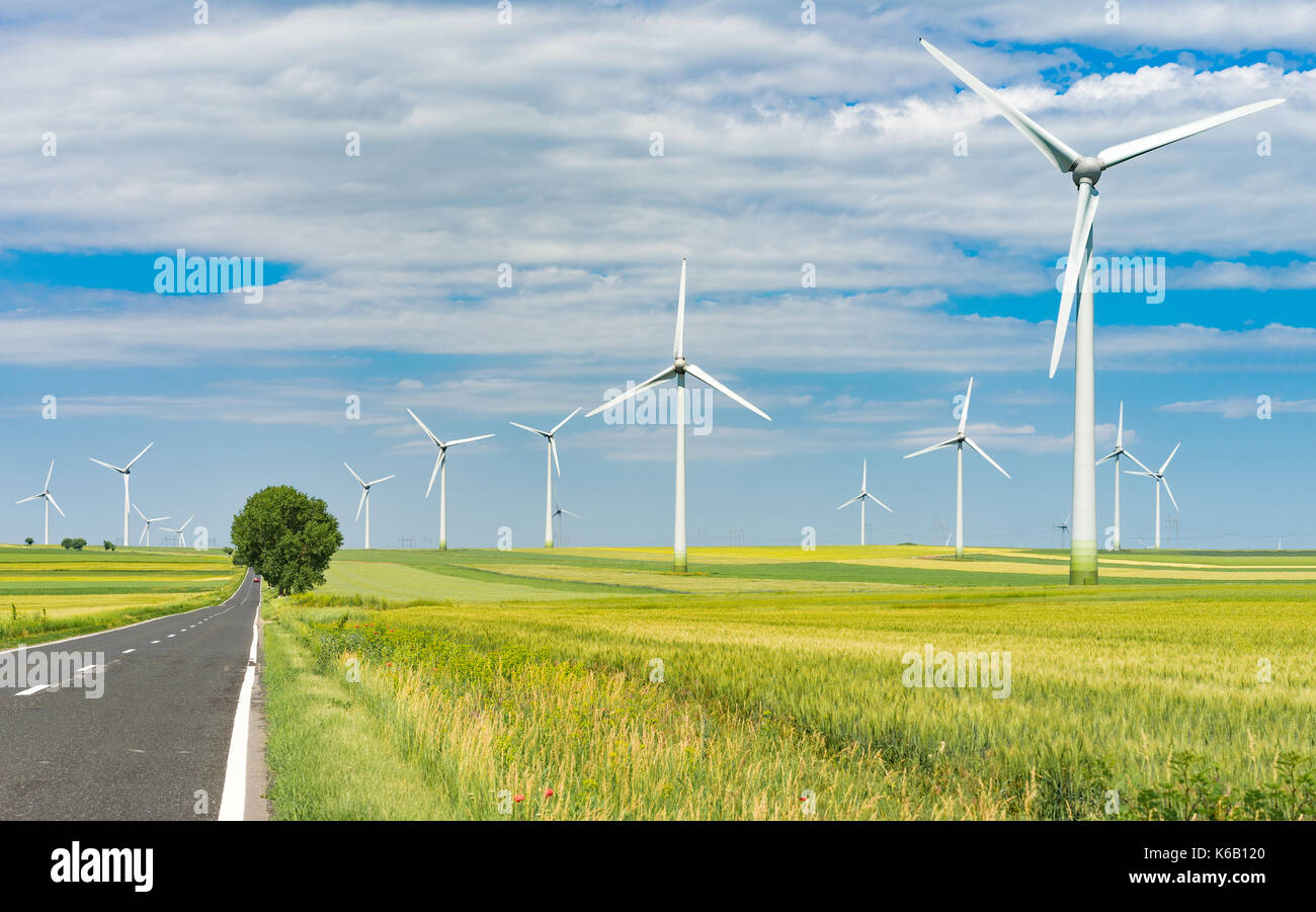 Äolische farm erneuerbare Energien fahren durch Stockfoto