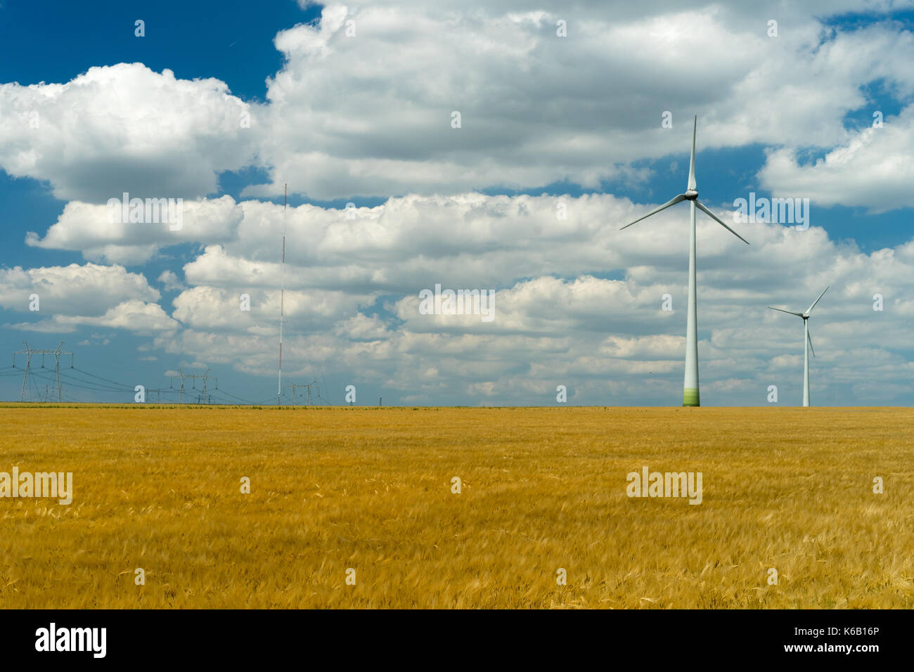 Äolische Generatoren in einem schönen Weizenfeld. äolischen Turbine Farm, wind turbine, wind Feld mit Windkraftanlagen. Wind Propeller. Weizen fiel der Landwirtschaft. Stockfoto