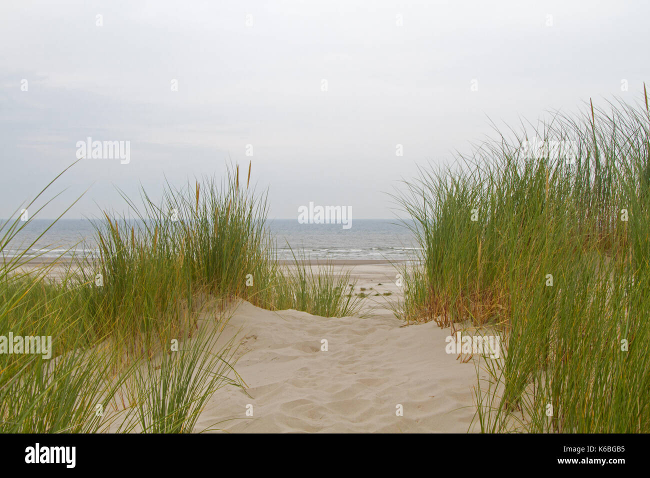 Blick auf den Strand und das Meer von der Spitze einer Düne mit Marram Gras gewachsen Stockfoto