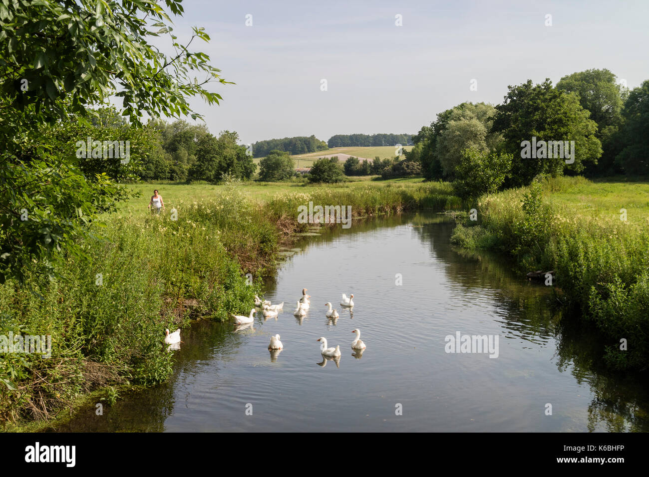 Landschaft und Aussicht auf die ländliche Fluss Avon in Upavon, Wiltshire, England Stockfoto