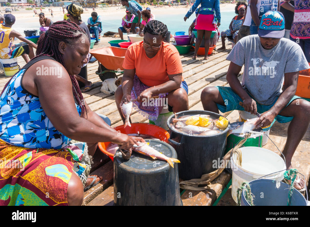 Kap Verde SAL einheimischen Skalierung und Ausnehmen frisch gefangenen Fisch auf der hölzernen Pier in Santa Maria Insel Sal Kapverden Afrika Stockfoto