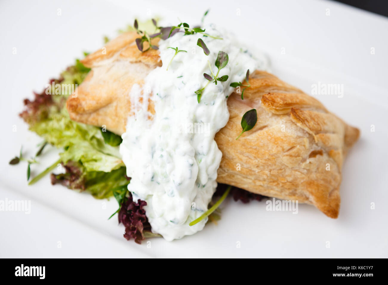 Traditionelle russische pie Stockfoto
